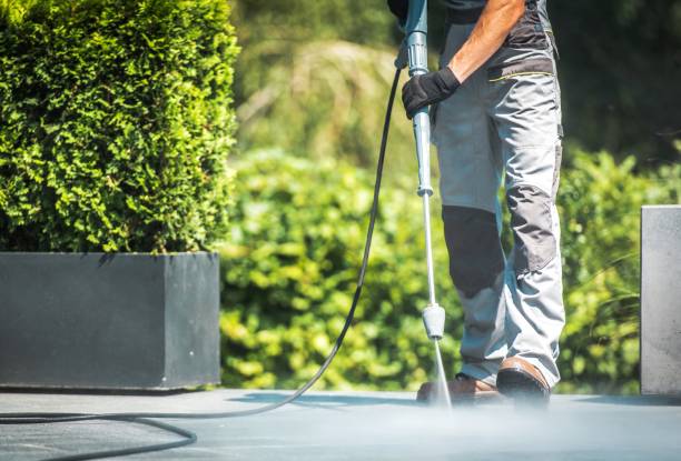 Best Driveway Pressure Washing  in Latta, OK